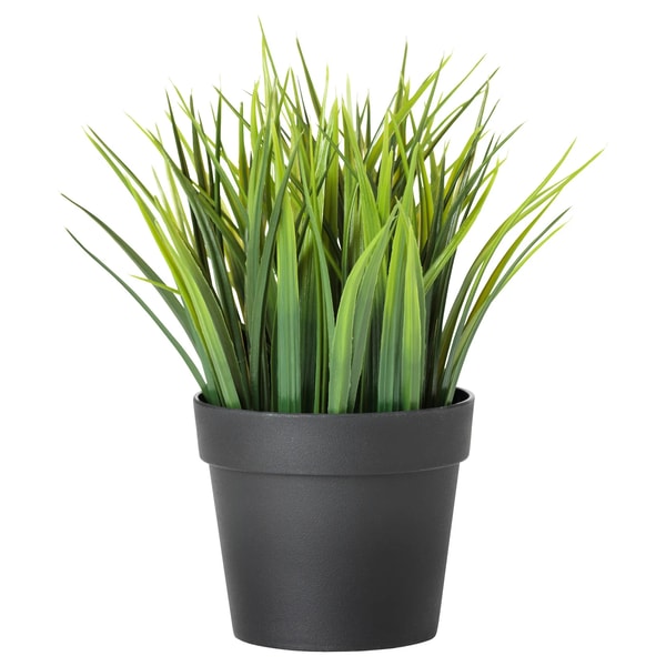 FEJKA artificial potted plant, indoor/outdoor grass, 3 ½&quot; - IKEA US